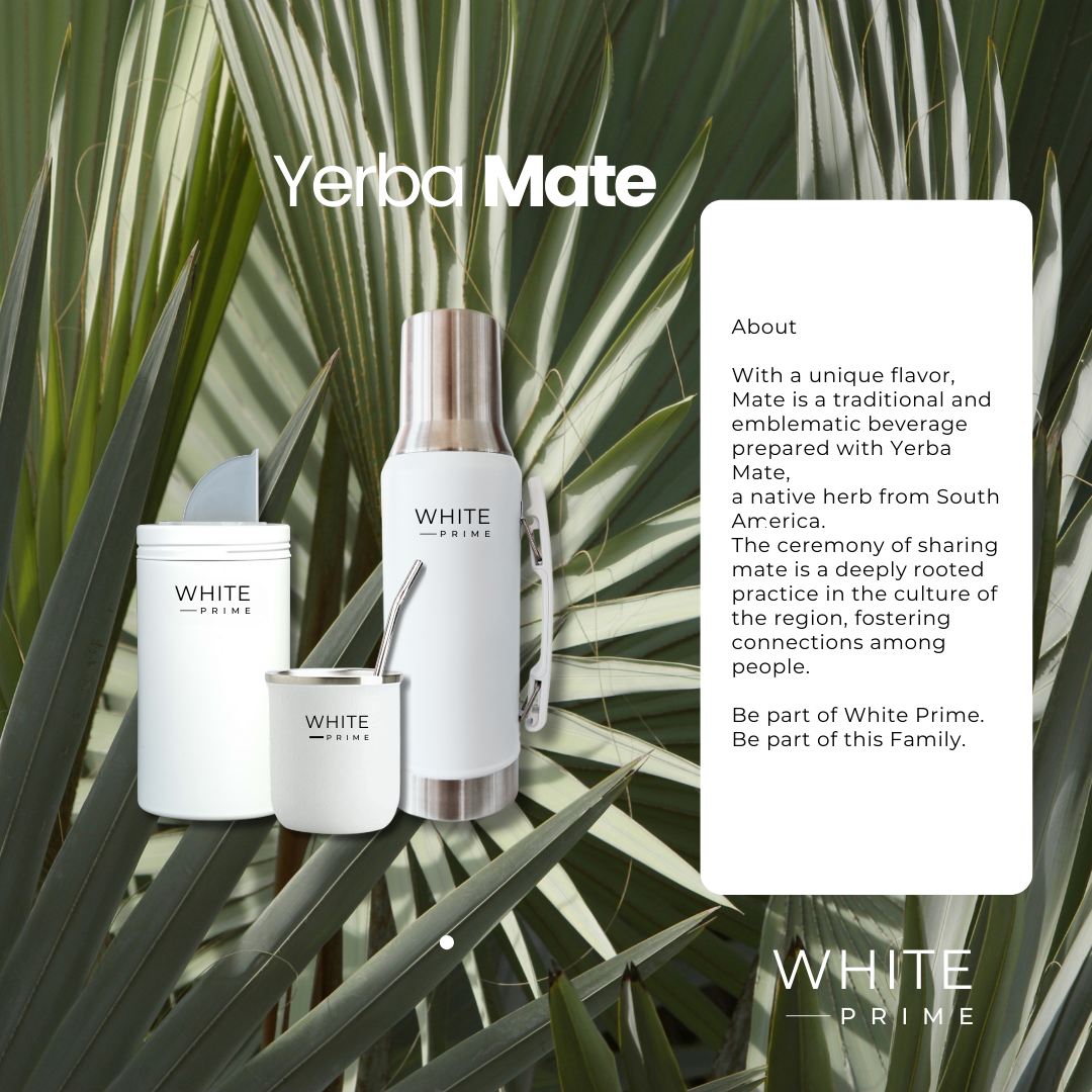 Yerba Mate Bundle | Stainless Steel Mate Set