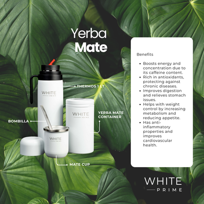 Yerba Mate Container with Spout | Stainless Steel | Coffee or Tea Container | WHITE Prime